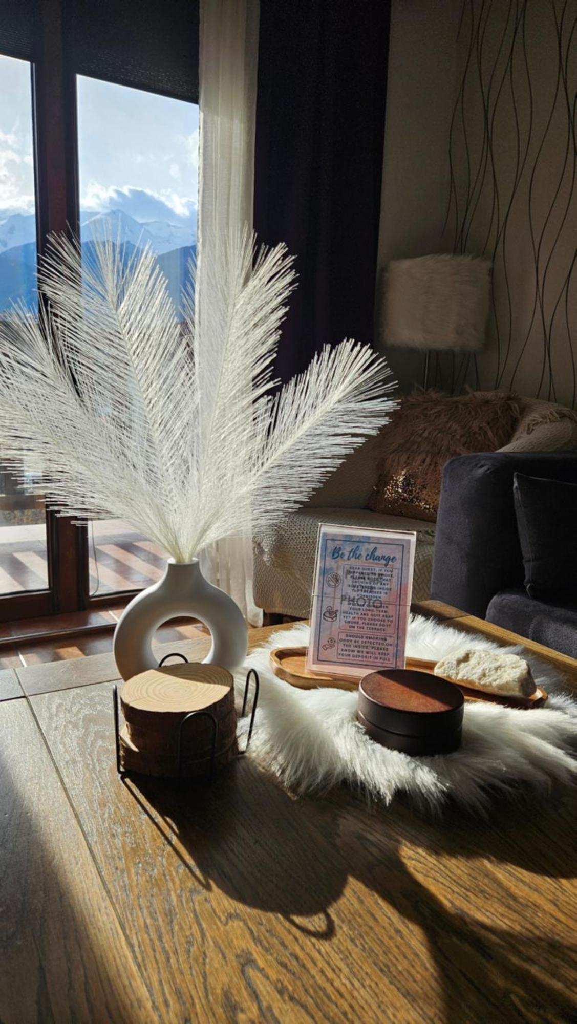 Bansko Prespa Ski Penthouse Buitenkant foto